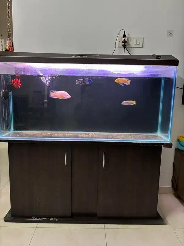 4ft Aquarium Tank With SunSun Filter, Light & Accessories for Sale