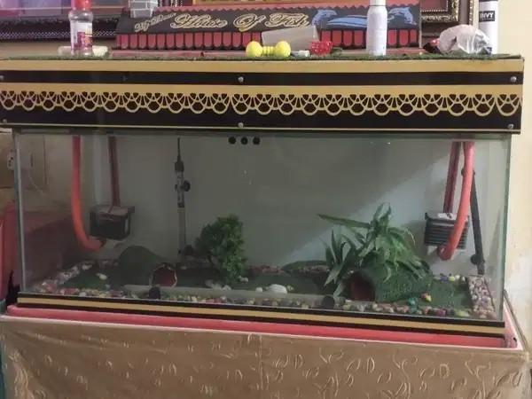180 Litre Fish Tank with 2 Filters for Sale in Virar East