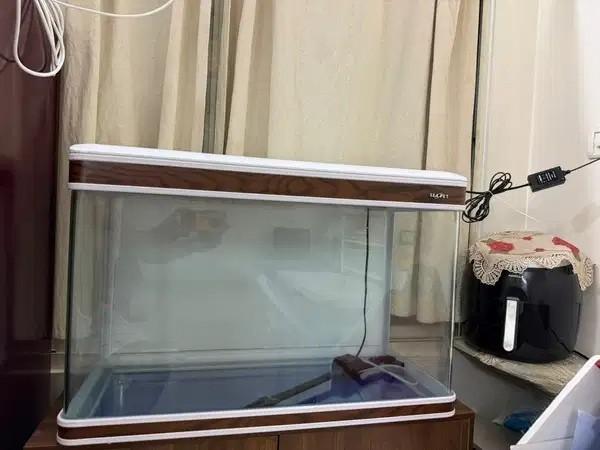2.5 Feet Imported Curved Glass Aquarium With Top Sump