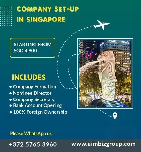 AIM Biz Group: Singapore Company Set-Up & Formation Services