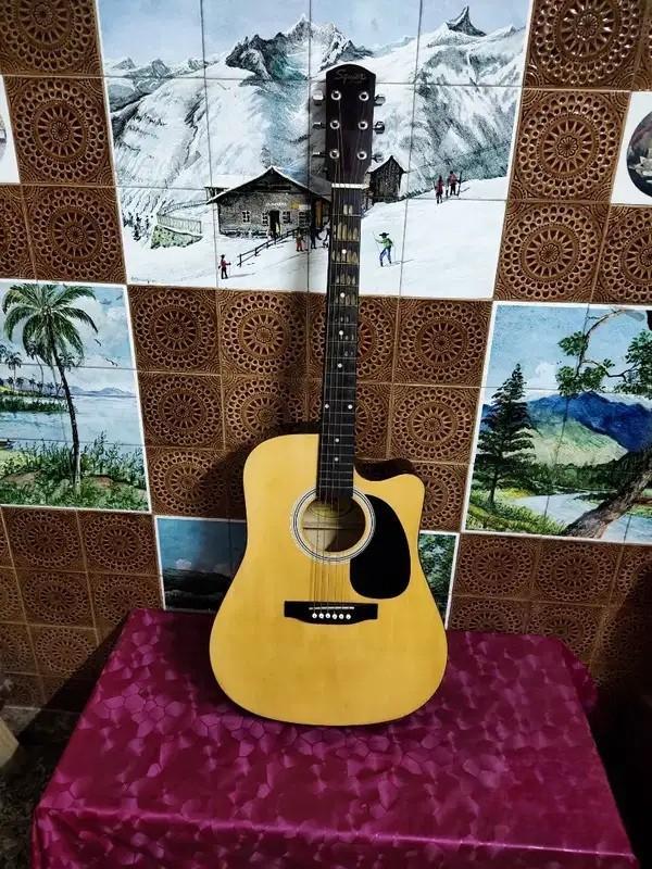 Fender Semi Acoustic Guitar for Sale – Great for Learners & Live Shows