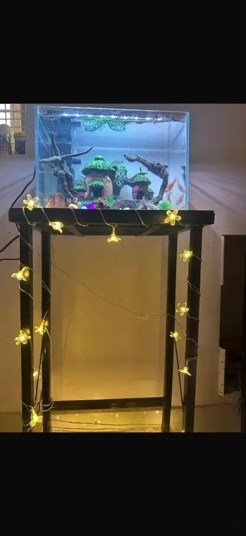 Clear Glass Aquarium With Metal Stand, LED Light & Accessories