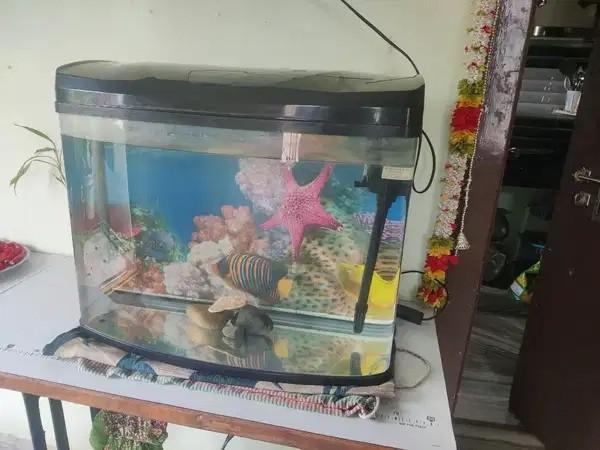 Aquarium with Top Filter and Light for Sale in Asif Nagar