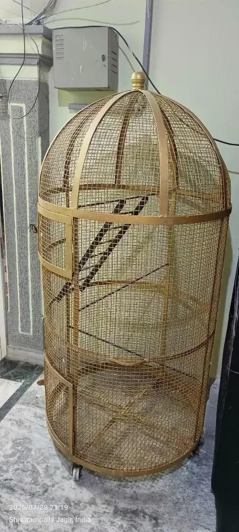 Premium Golden Bird Cage 6ft 5in – Heavy Gauge