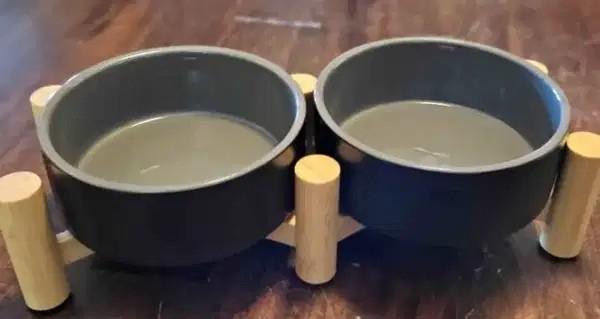 Dog Food Bowl for Sale in Mumbai – ₹1,000