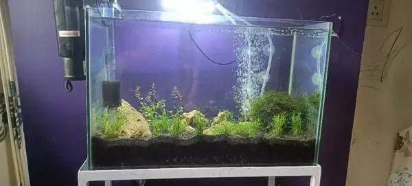 2x2 Ft Fish Tank with Complete Aquarium Accessories for Sale