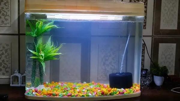 Acrylic Aquarium 22x17 Inches for Sale in Mira Road East