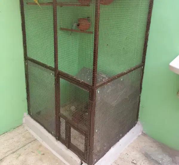 Iron Cage – L Shape Iron Cage In Newly Condition For Sale