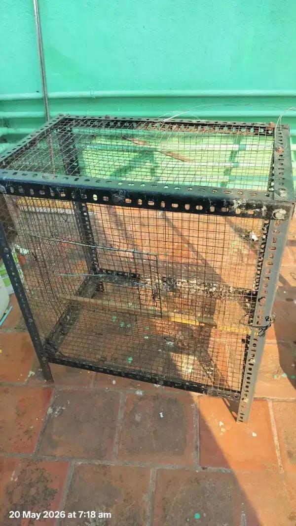 Strong Iron Cage For Sale