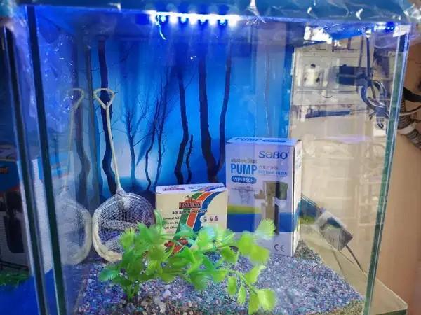 Fish Aquarium For Sale With Filter, Light, Sand And Accessories