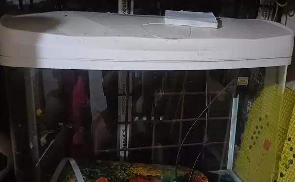 SOBO Fish Tank Aquarium Almost New – ₹2,100
