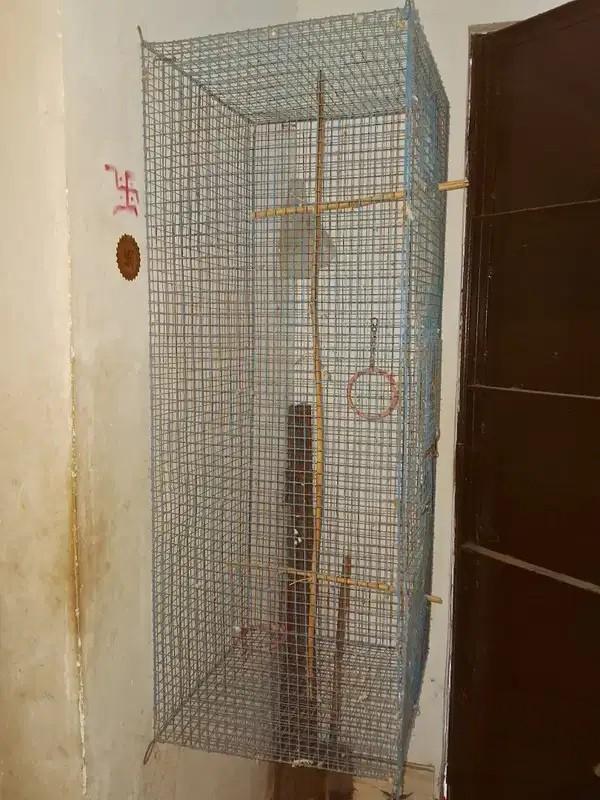 Used 3.5×1.5×1.5 Ft Cage for Sale in Howrah – ₹800