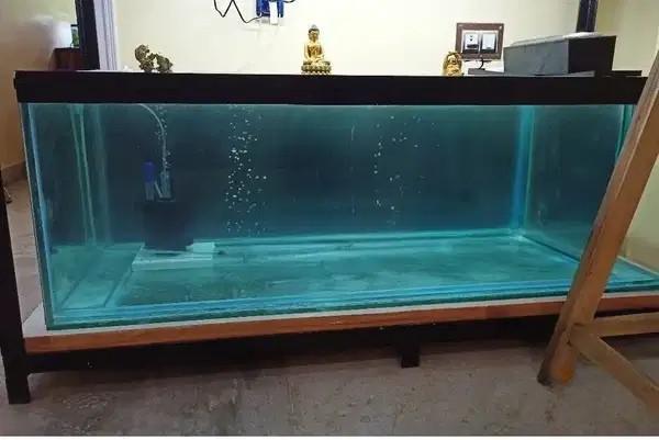 4 Ft Toughened Glass Aquarium in Good Condition – ₹3,000
