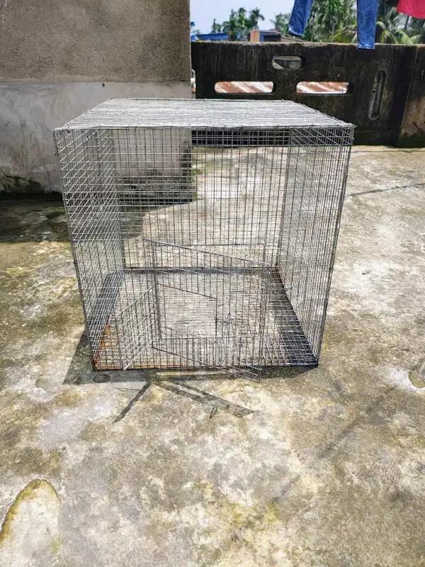 Bird Cage 2ft x 2ft Galvanized Cage for Sale – ₹1,500