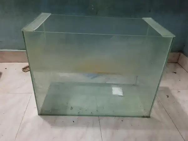 Big Fish Tank For Sale – Spacious Aquarium