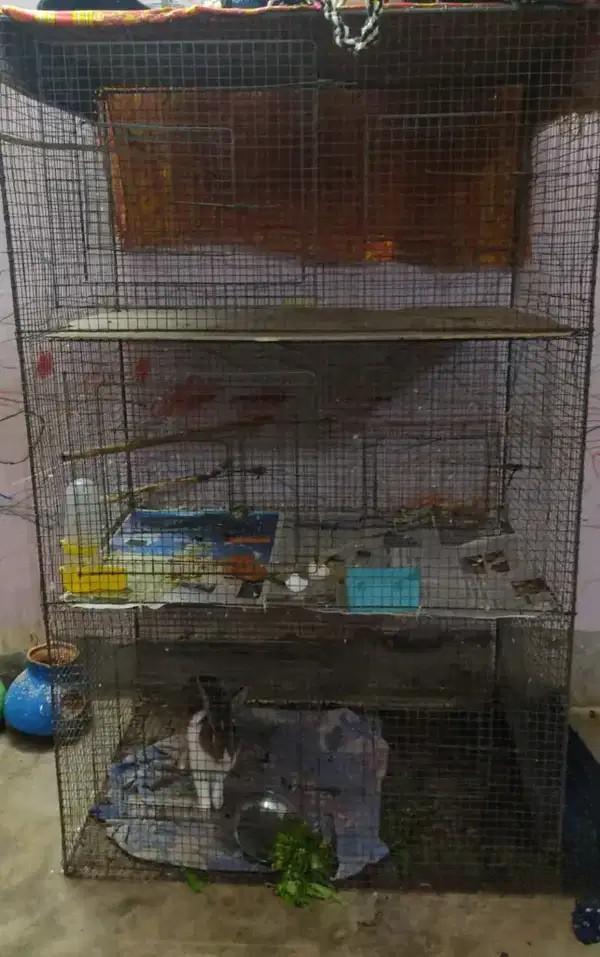 Heavy-Duty Iron Bird Cage for Sale – ₹3,000