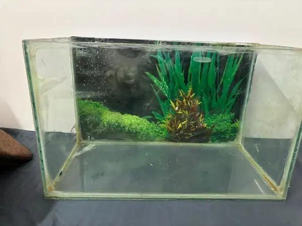 Fish Tank For Sale