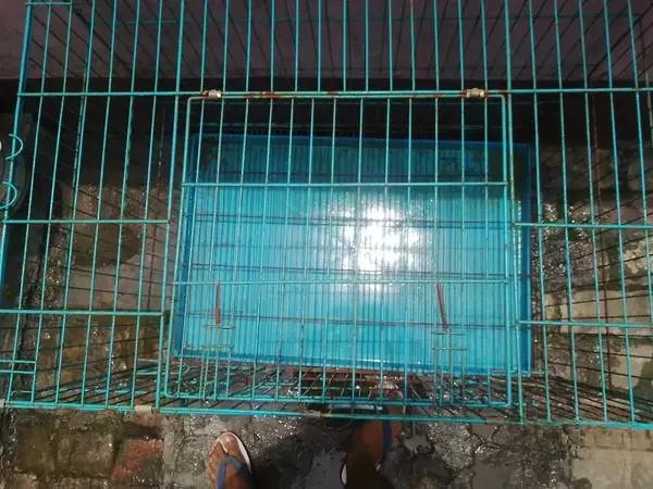 3-Foot Dog Cage in Good Condition for Sale in Naihati
