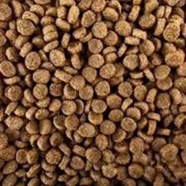Premium Protein-Rich Chicken Pet Kibble 600g – ₹182