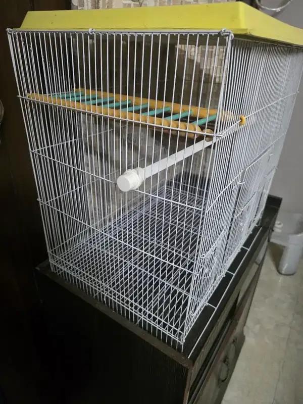 Pet Cage: White Pet Bird Cage In Brand New Condition For Sale