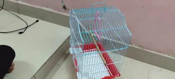Bird Cage For Sale