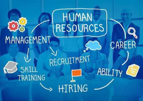 Cleglex Recruitment Assistant Job For Female Freshers