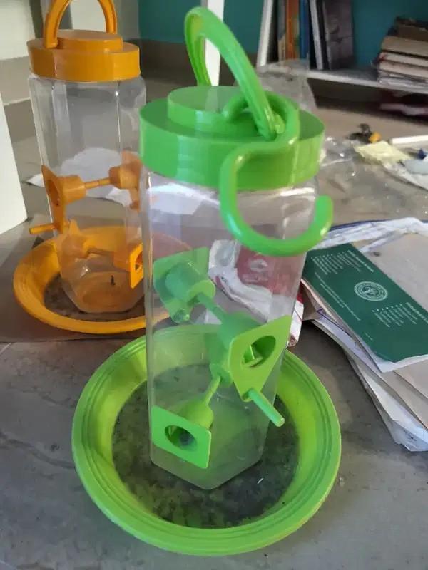 Bird Feeder Green Colour – 5 Months Old