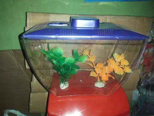 Desktop Fish Tank Bowl – New Trending Acrylic Betta Fish Bowl With LED Light