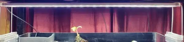 Aquarium Plant Light: LED Grow Light For 2.5 To 3 Feet Fish Tanks