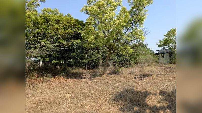 Farm Land – 44.5 Cent Plot Near Kancheepuram At ₹160 Per Sq Ft