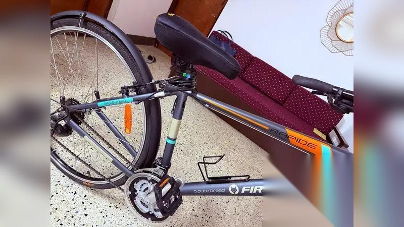 Firefox Rapide 21S: Well-Maintained Hybrid Bicycle In Chetpet Chennai