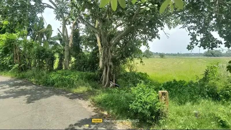 24 Katha Land for Urgent Sale Near Vedic Village, New Town