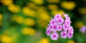 HD with current Dat&Time