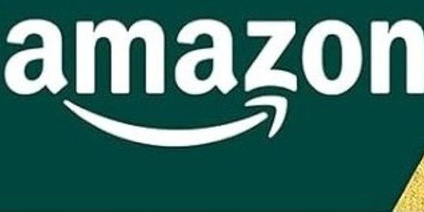 Amazon Pay Gift Card (Digital)  Instant, Secure, & Convenient Online Payment