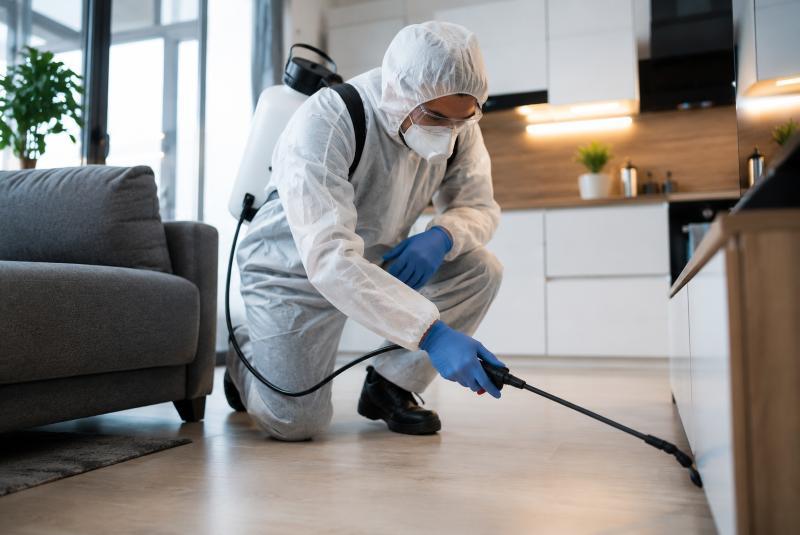 V S Pest Control Services in Jp Nagar 8th Phase, KA