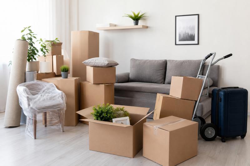 SJ Domestic International - Anna Nagar East, Chennai