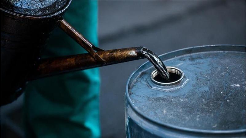 Russia and Reliance Sign $13 Billion Energy Deal for Crude Supply