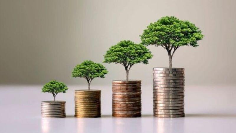 Valentine's Day: Why Talking Finances Before Marriage is Essential