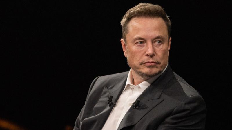 Germany Accuses Elon Musk of Trying to Influence Elections by Supporting AfD