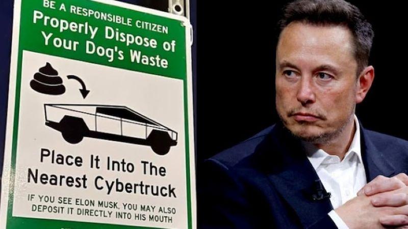 Elon Musk Faces Backlash as Tesla Stock Drops Amid Political Controversy