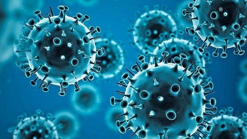 Norovirus Cases Surge in the US Symptoms, Spread, and Prevention Tip