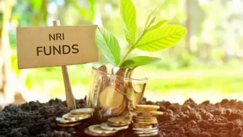 India Attracts $12 Billion NRI Investments in FY25: A Boost to Economy