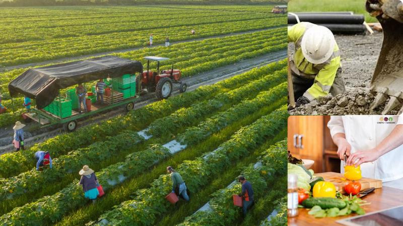 Impact of U.S. Immigration Crackdowns: Rising Food Prices and Struggling Industries