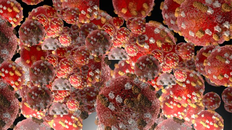 Texas Measles Outbreak Worsens 146 Cases Confirmed Since January