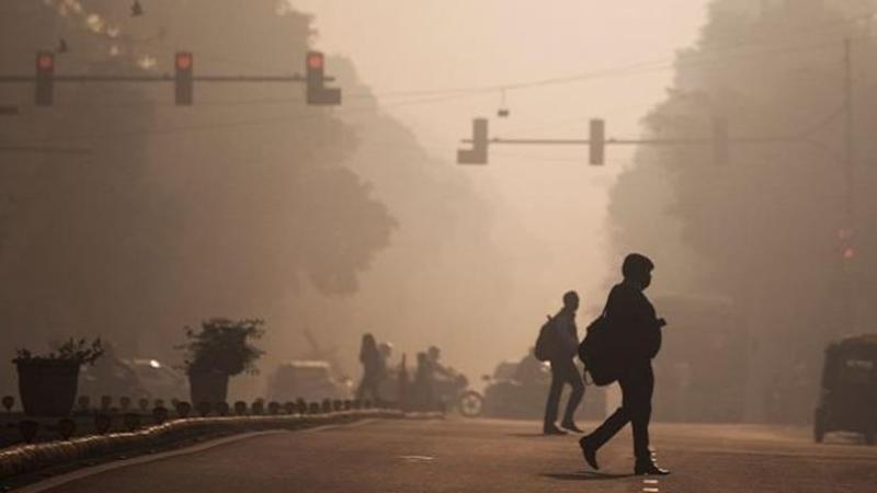 Supreme Court's Warning Spurs Action Against Stubble Burning in Punjab and Haryana