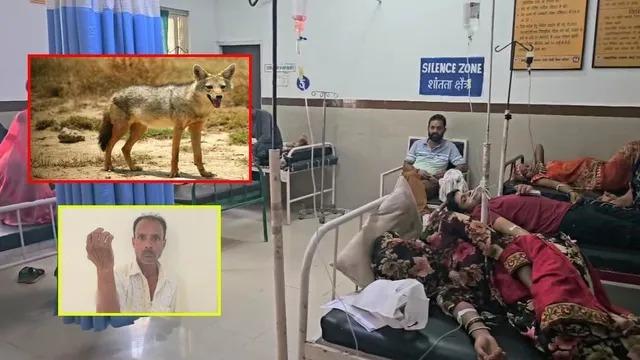 Jackal Attacks in Madhya Pradesh: Two Injured in Sehore District as Authorities Urge Caution