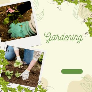 Transform Your Outdoor Oasis DIY Gardening and Landscaping Projects
