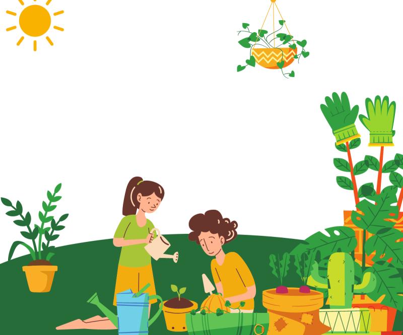 Creating a Vertical Garden