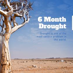 The Impact of Climate Change on Food and Beverage Production