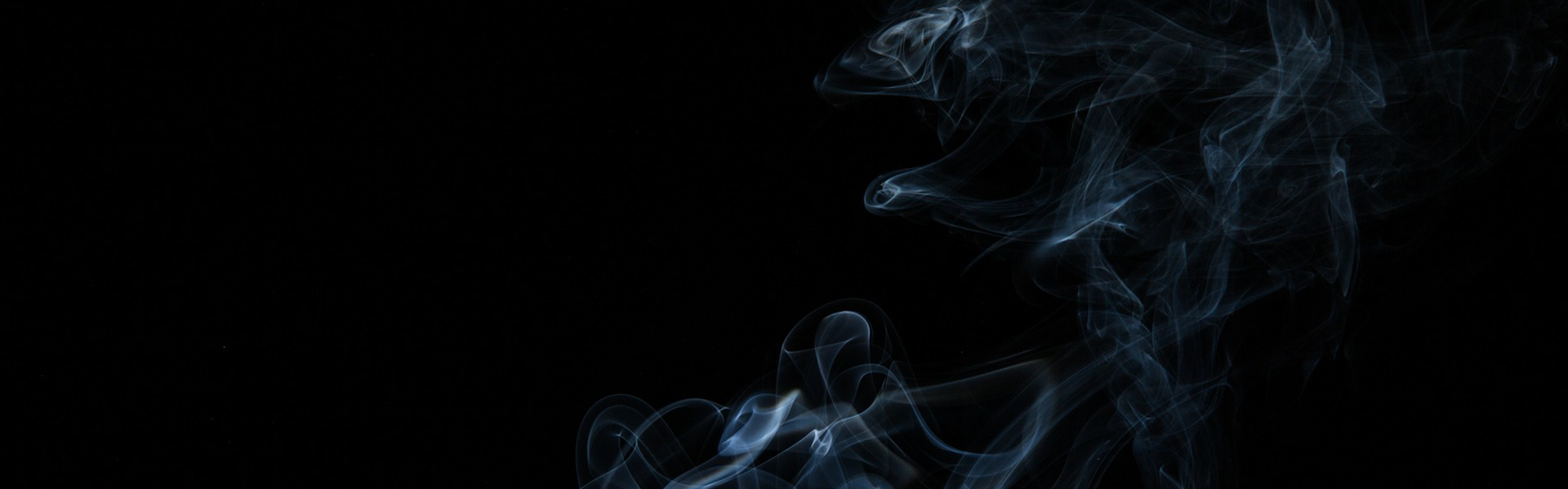 indigothemes-pro-business-wpthemes